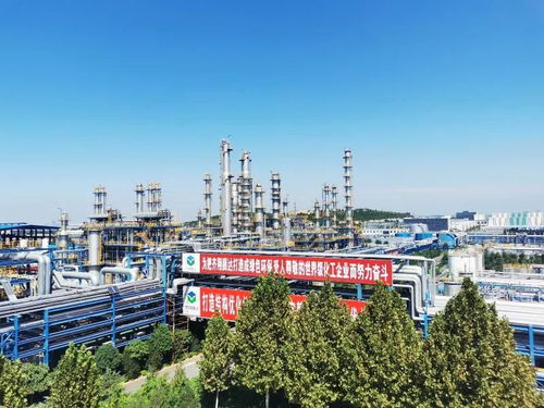 雪松實業 聚焦新興產業投資，驅動盈利逆勢增長